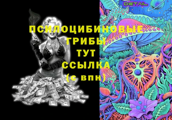 ешки Абаза