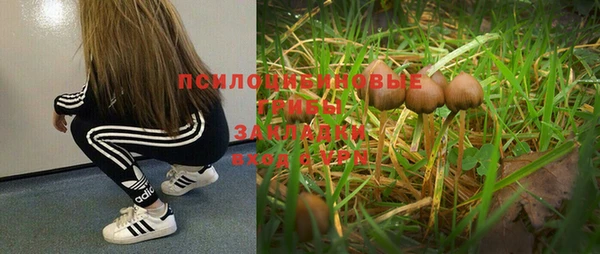ешки Абаза