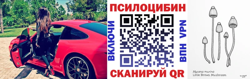 купить   Бугуруслан  нарко площадка официальный сайт  Галлюциногенные грибы GOLDEN TEACHER 