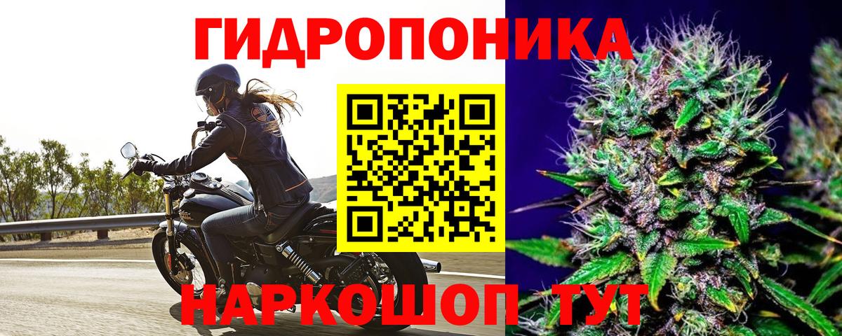 Бошки Шишки конопля  Канабис Bruce Banner  Марихуана планчик  Вход с VPN  Бугуруслан 